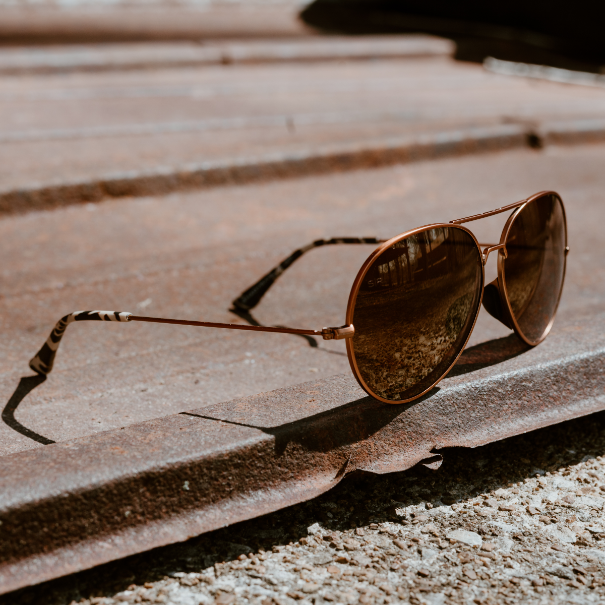 Tangle Free Aviator - Prairie Tortoise Polarized